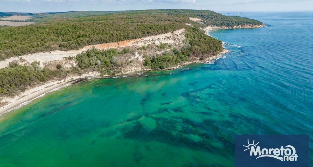 Aрхеолози от Националния исторически музей направиха сензационни открития при подводни