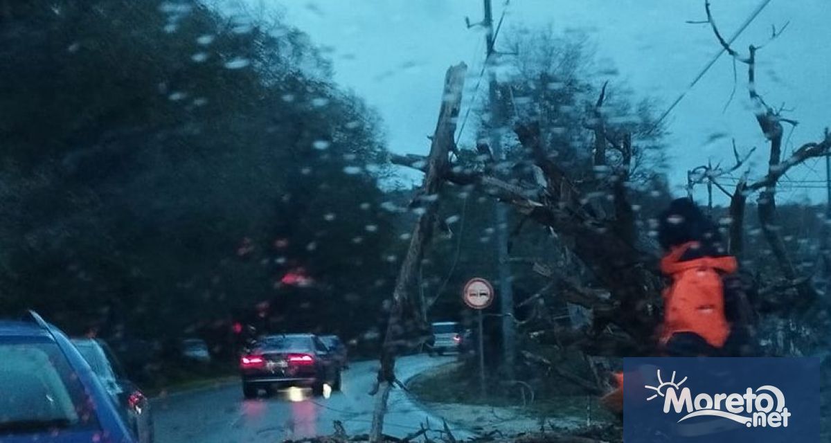 Десетки сигнали за паднали дървета и нарушено електроснабдяване във Варна
Близо