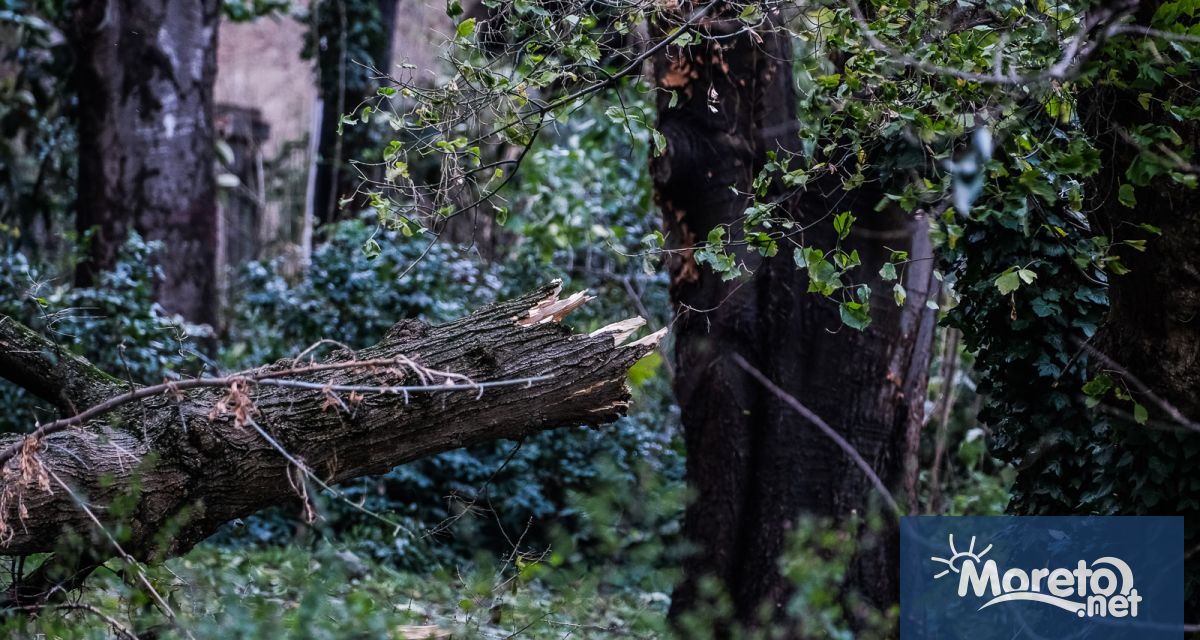 Правителството реши да отпусне еднократна финансова помощ от 15 000