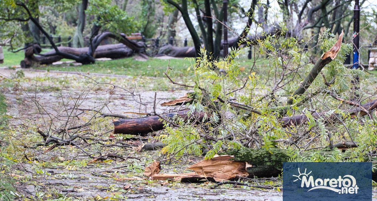 Приоритет е почистването на всички падащи предмети и опасни висящи
