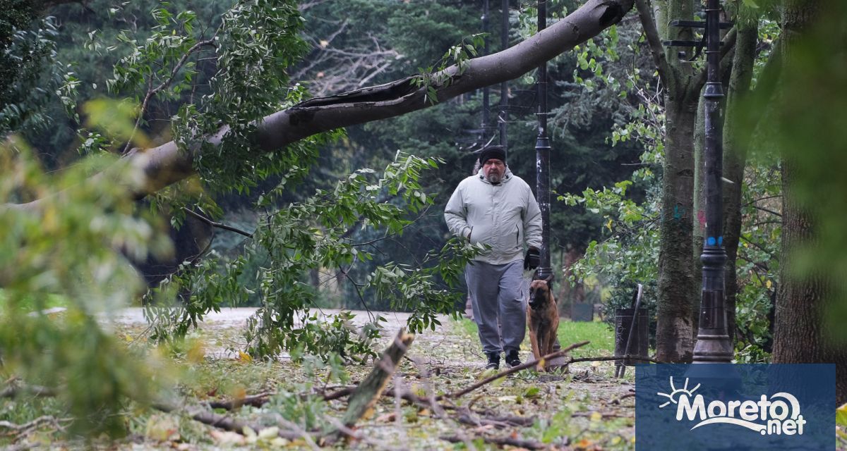 Варна иска 1 3 млн лв от правителството за извънредните разходи по