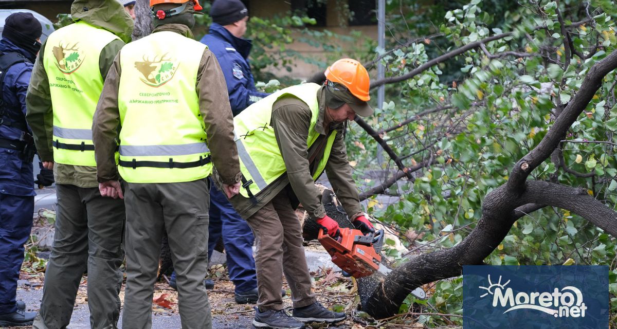 Всички отговорни институции работят по отстраняването на щетите от урагана