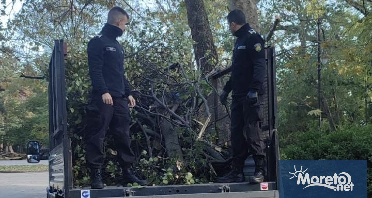 Морско училище се включи в почистването на Варна след урагана | Moreto ...