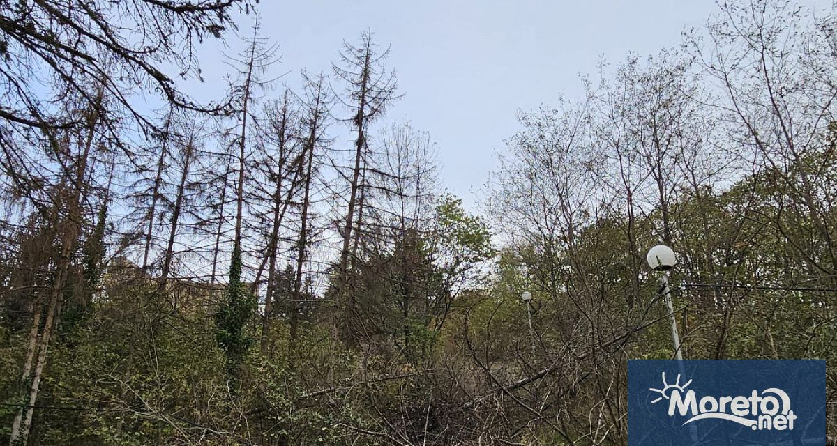 Измина близо една година откакто подадохме няколко сигнала че в