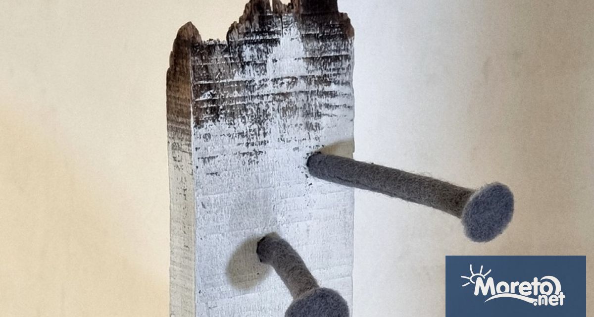 Доц д р Вержиния Маркарова представя в морския град открояващи се