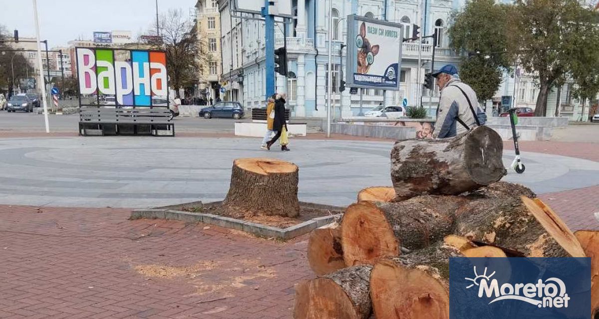 Разчистването на Варна след бурите през последните седмици продължава В