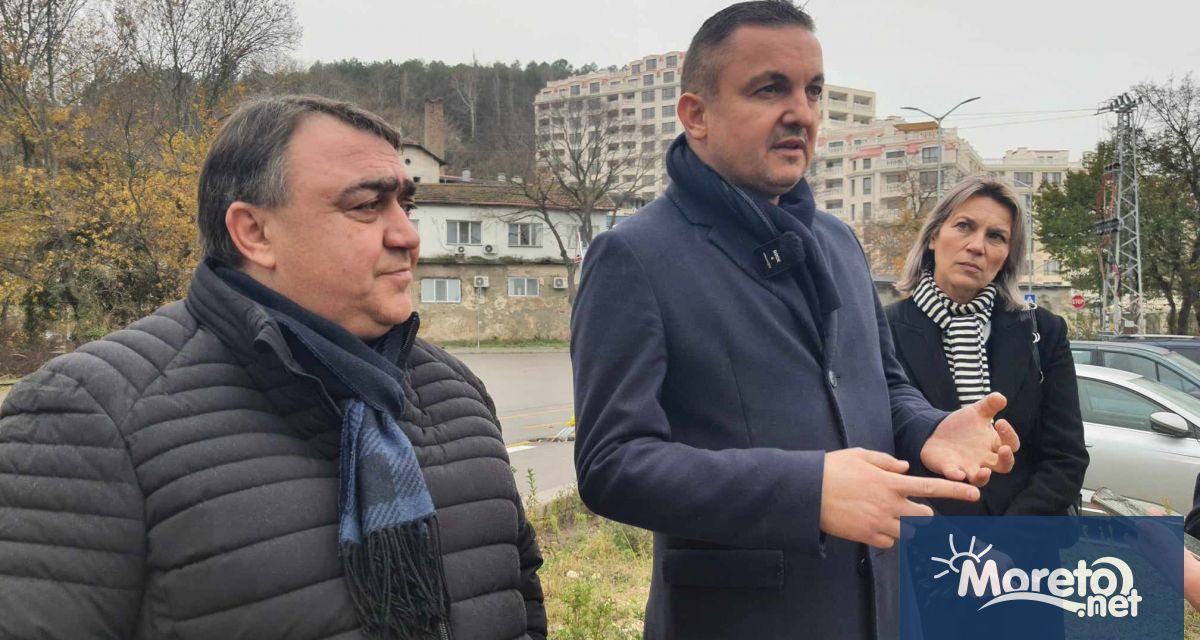 Проект за над 70 000 кв м РЗП застрашава гора в