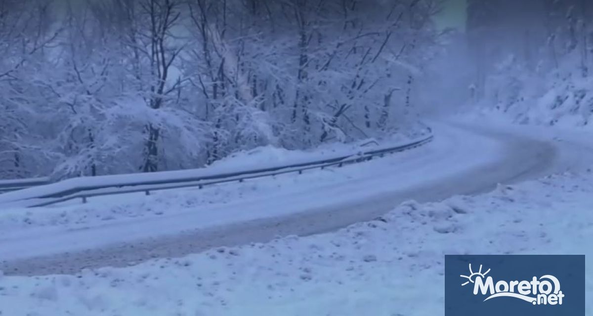 Прогнозите на синоптиците за обилен снеговалеж в страната се сбъднаха