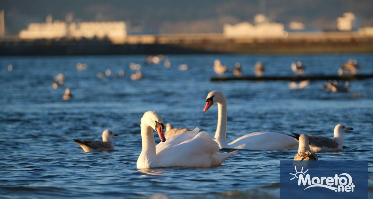 Тази нощ ще бъде предимно ясно Вятърът от северозапад ще
