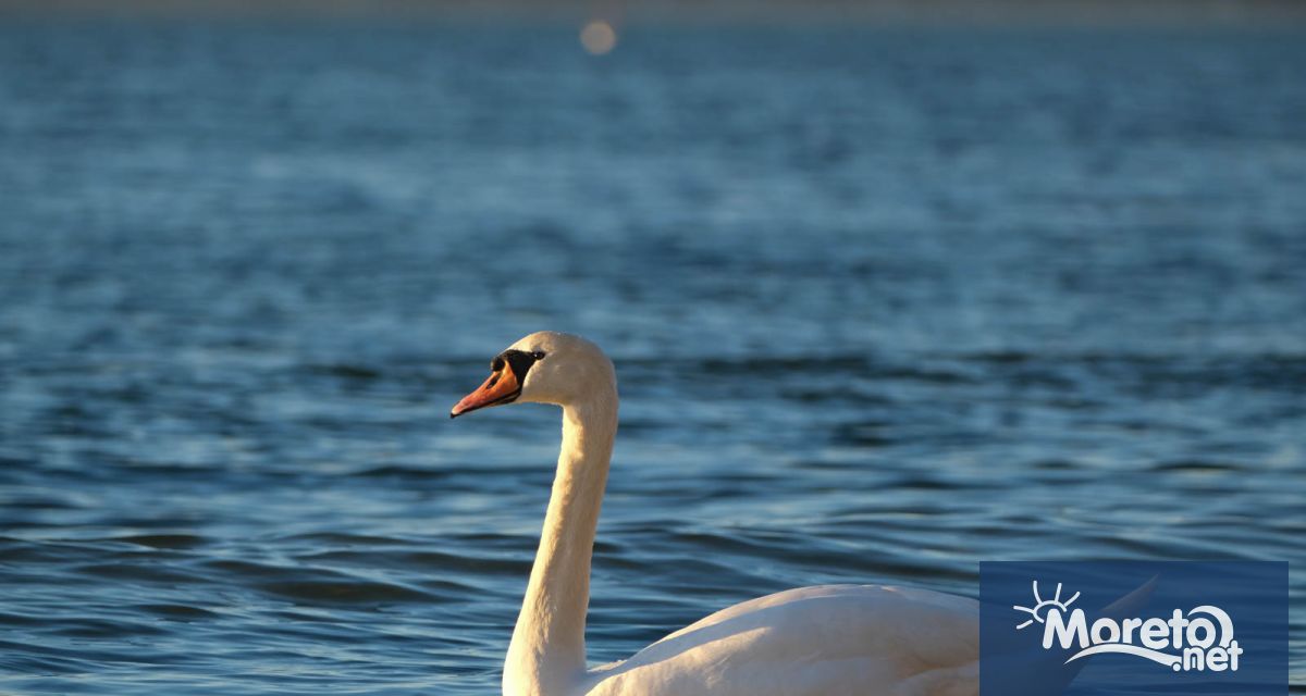 През нощта студеният атмосферен фронт ще премине и през Източна