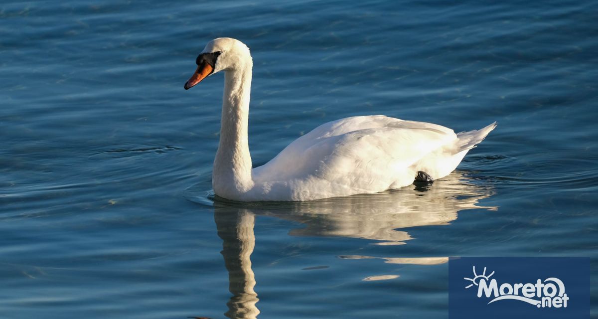 Днес над Черноморието ще е облачно по южното крайбрежие със