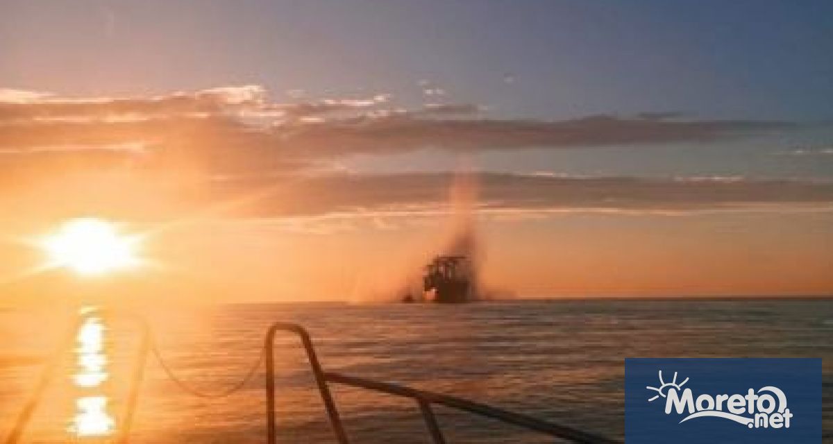 Граждански кораб плаващ под панамски флаг се е натъкнал на