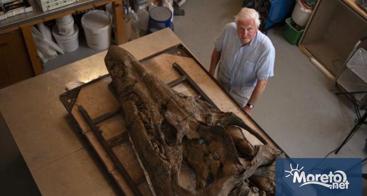 Черепът на колосално морско чудовище което беше открито от Джурасик