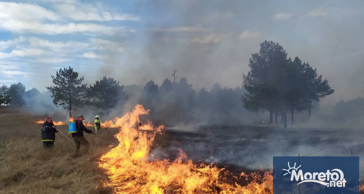 Министерството на земеделието и храните въвежда временна забрана за поддържане