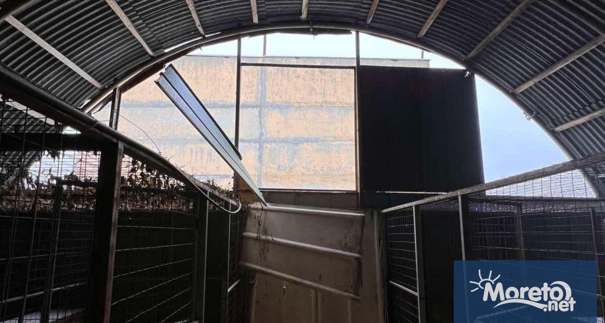 Директорът на Общинския приют за безстопанствени кучета в Каменар Йордан