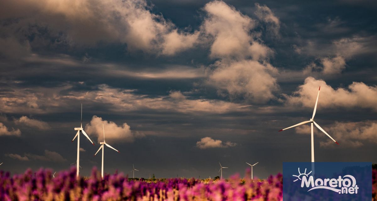 Нидерландското правителство стартира телевизионна кампания с която призова гражданите да