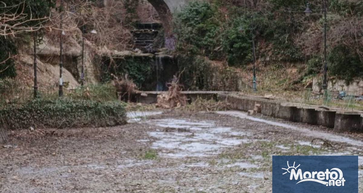 Разчистват от дънери и дървета пресушеното езерце до Крайбрежната във