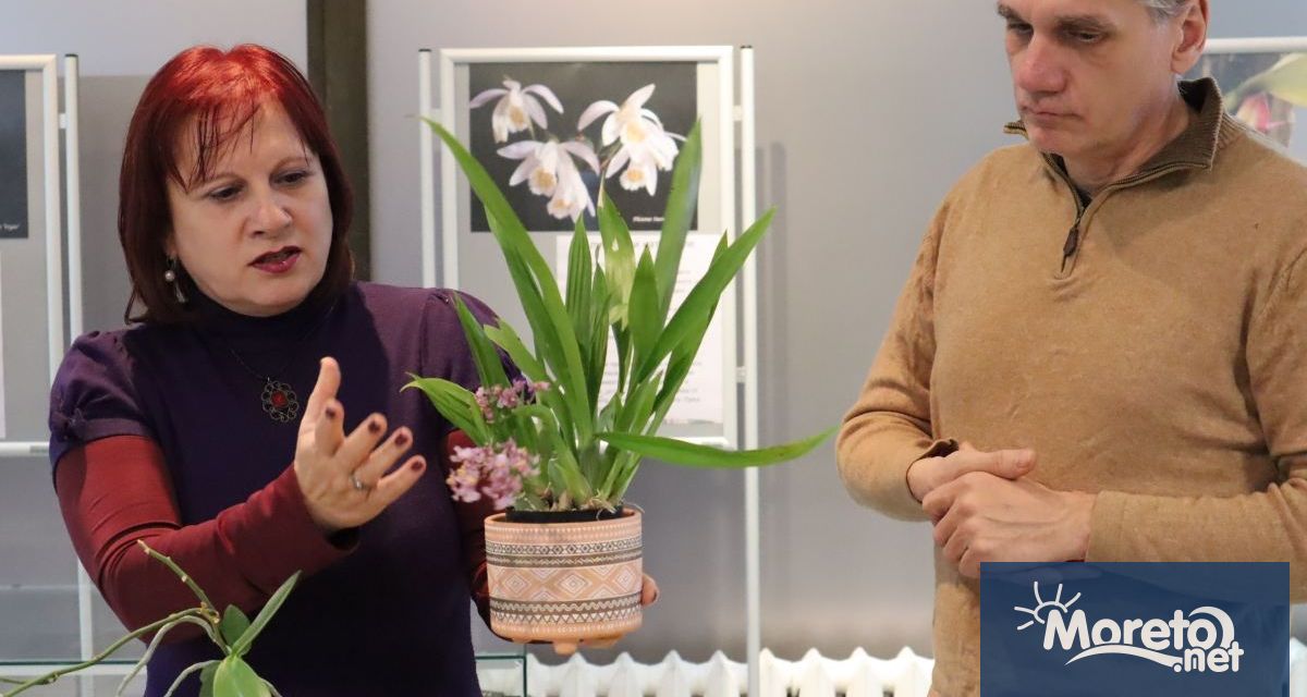 При голям интерес бе открита изложбата Орхидеи между кориците в