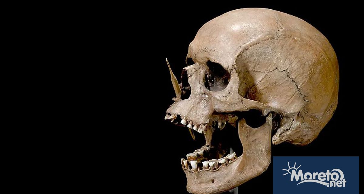 Древните пастири които са яздели коне и са карали теглени