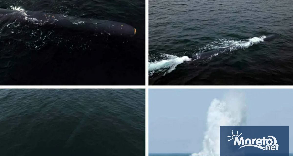 Северна Корея твърди че е извършила тест на своята система