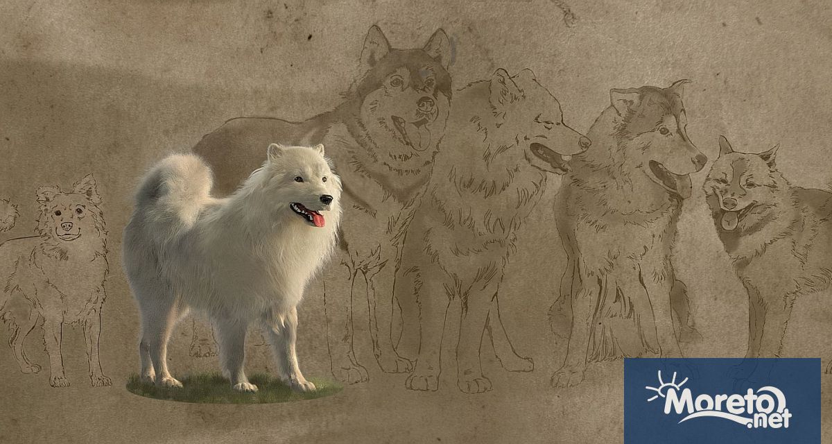 В продължение на хиляди години крайбрежните салиши от тихоокеанския северозапад