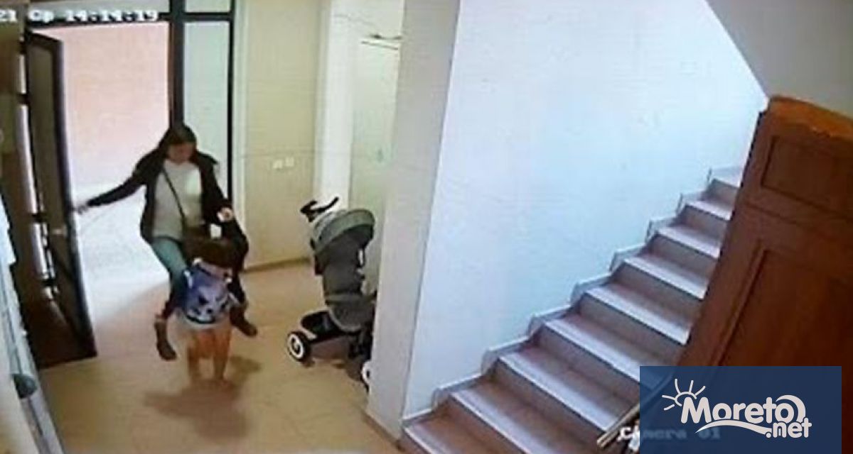 Габриела Славова обвинена заедно с майка си в убийството на