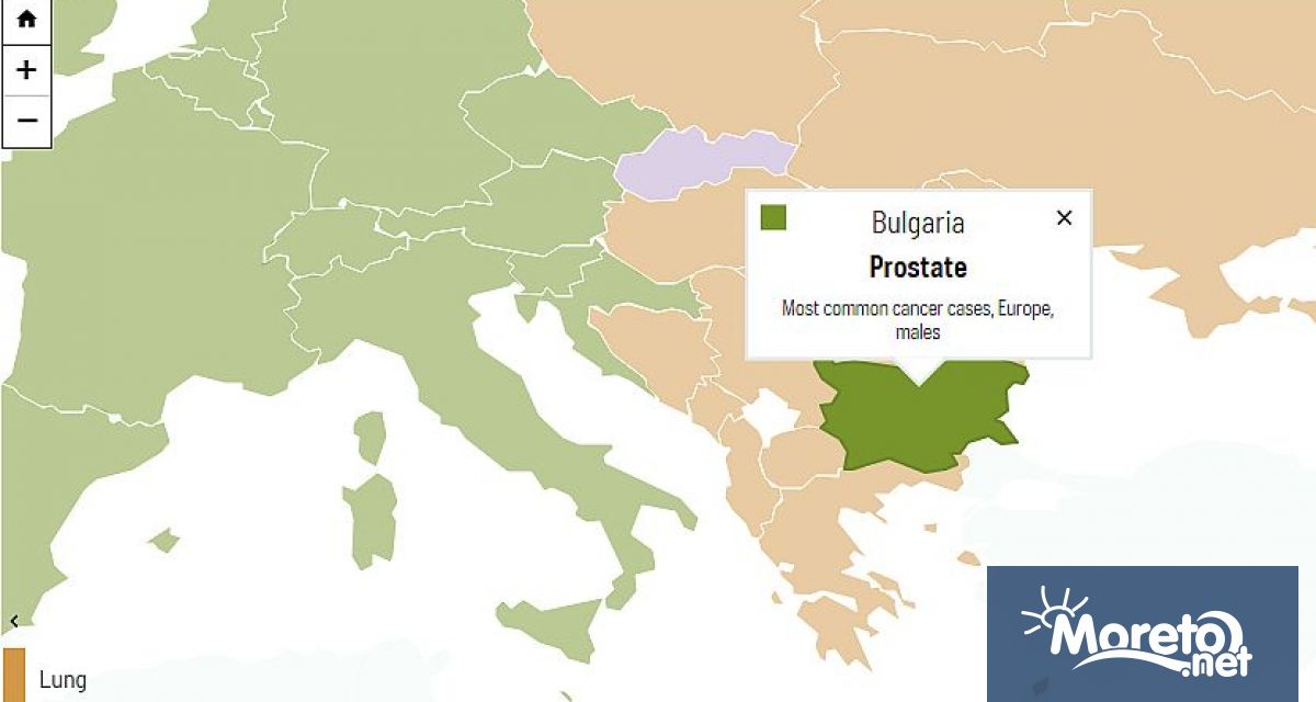 Новите прогнози бяха публикувани преди Световния ден за борба с