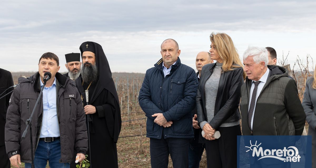 Историята ни е научила че както лозята се отглеждат трудно