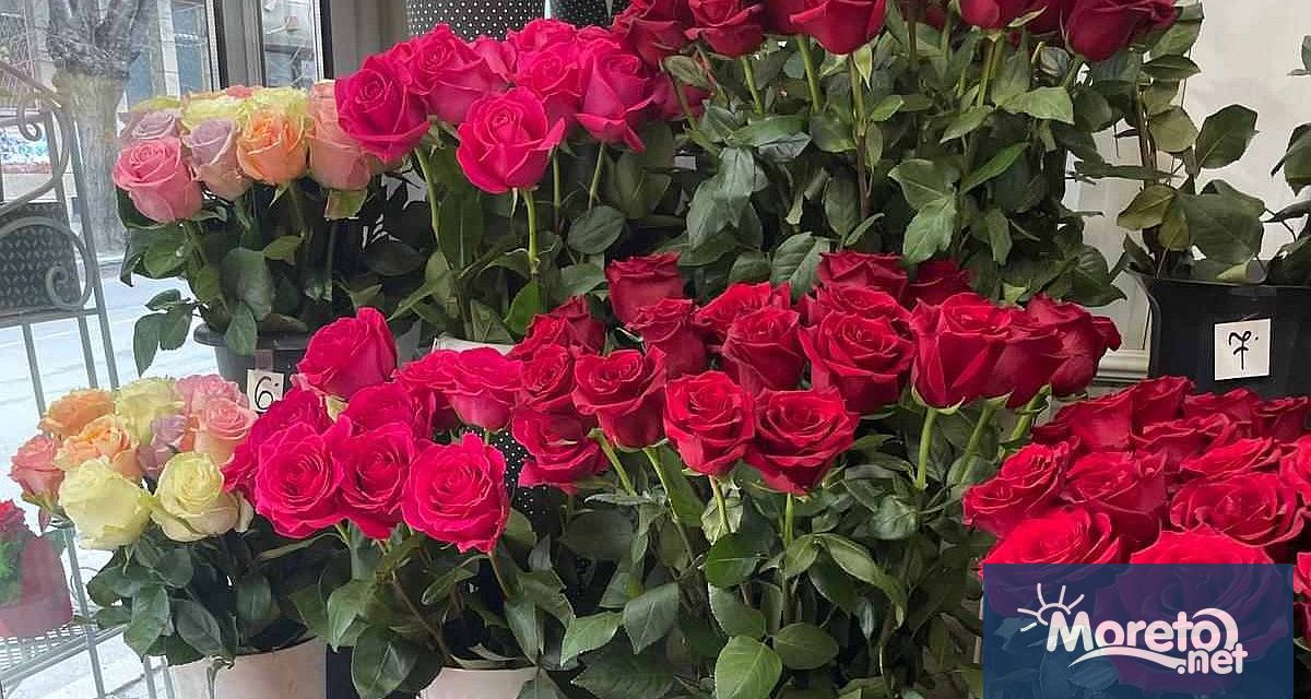 7 лева стигна цената на розата за Св Валентин на