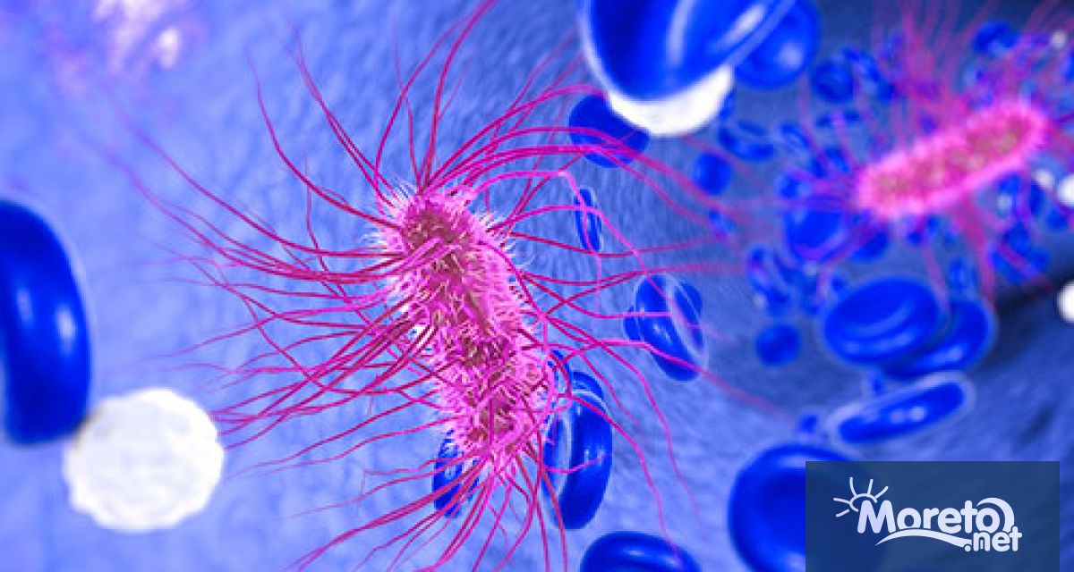 Новият антибиотик е ефективен срещу мултирезистентни щамове бактерии в лабораторията