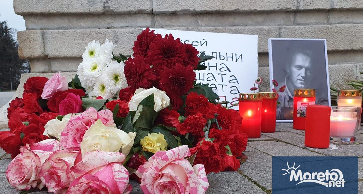 43 държави поискаха провеждане на международно разследване на смъртта Алексей