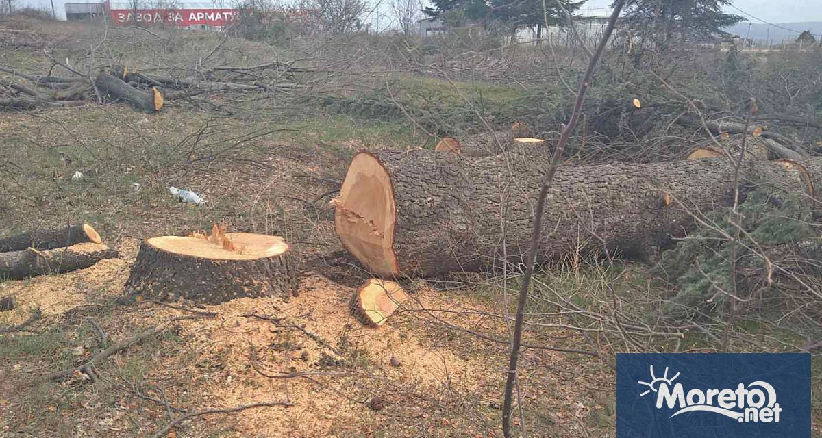 Имуществена санкция в размер от 5000 до 10 000 лв съгласно