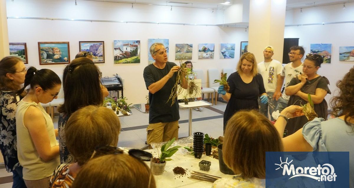 Японската техника кокедама ще бъде демонстрирана за пръв път у