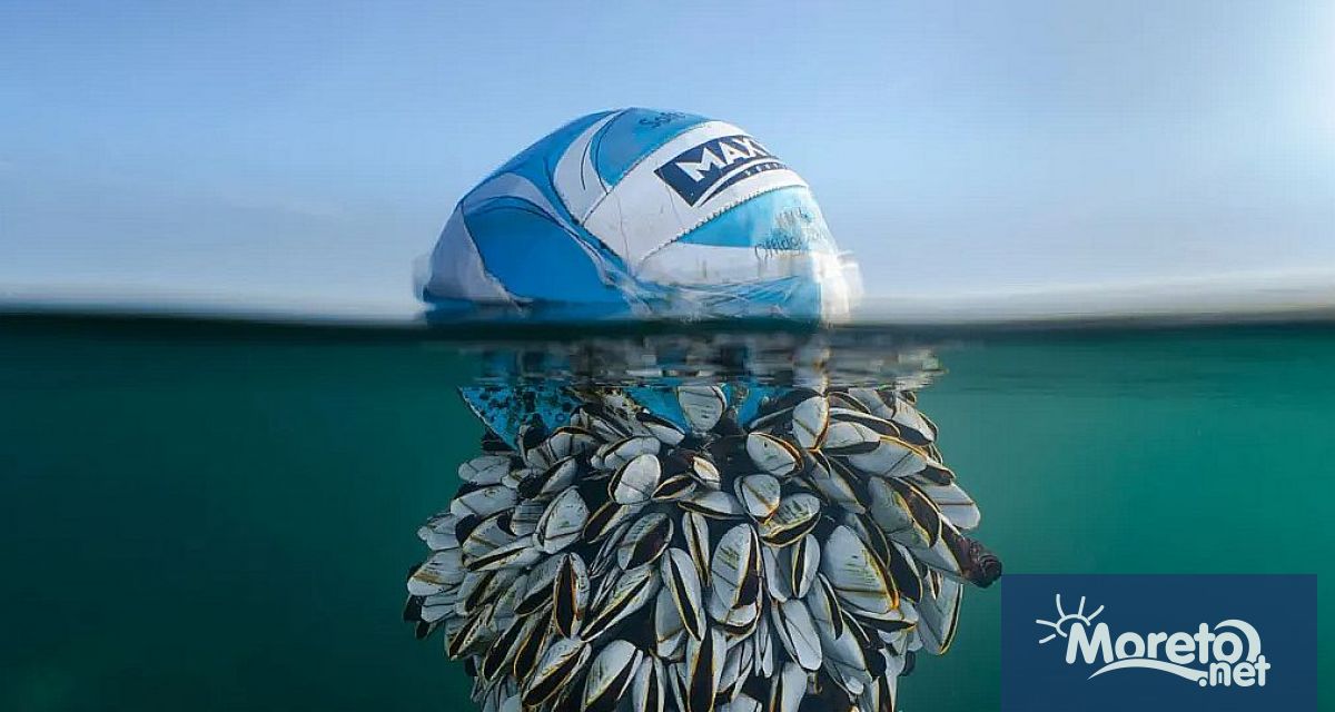 Картината е избрана от повече от 14 000 записа от