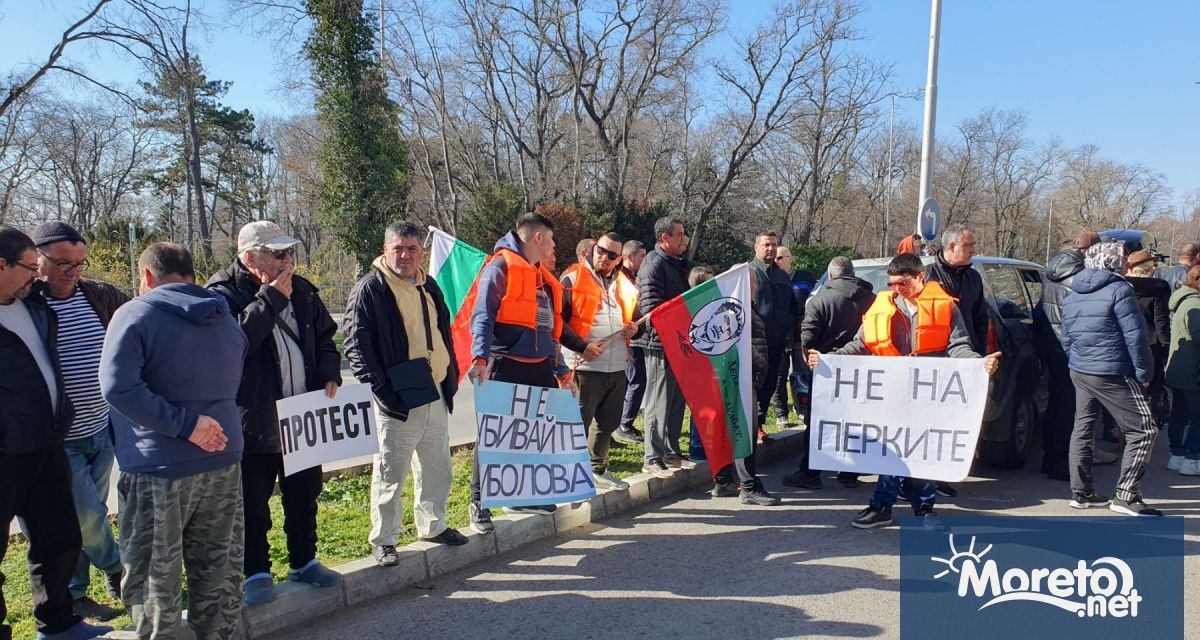 Близо 200 рибари протестираха в морската столица Те се събраха