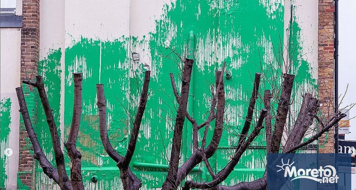 Снимка на стенописа беше публикувана в официалния акаунт на Banksy