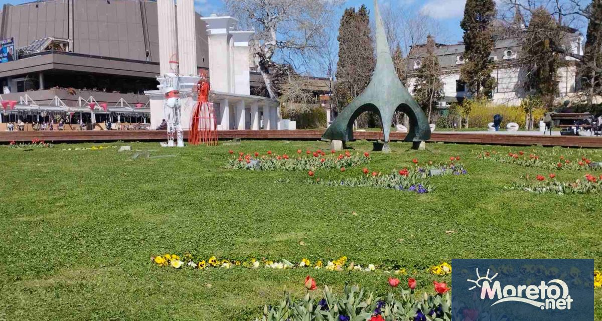 Лалетата в Морската градина започнаха да разцъфват видя репортер на