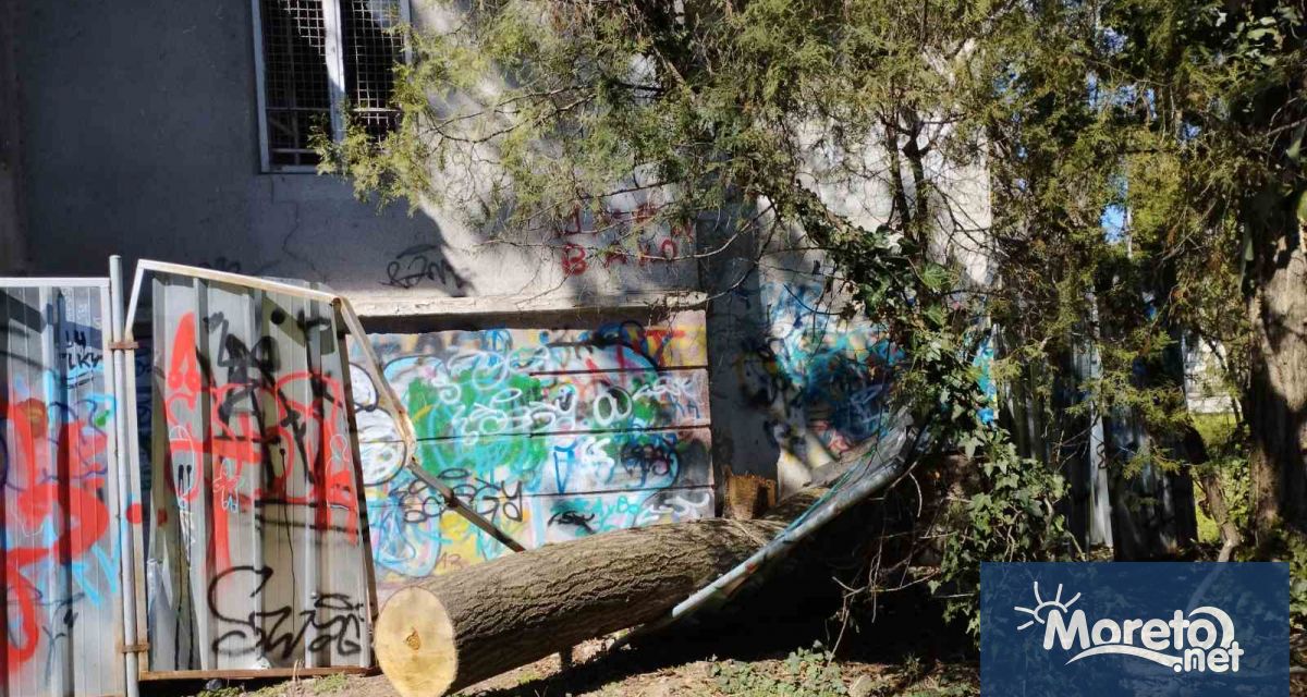 Вече месеци оградните пана около къщата на Антон Новак в