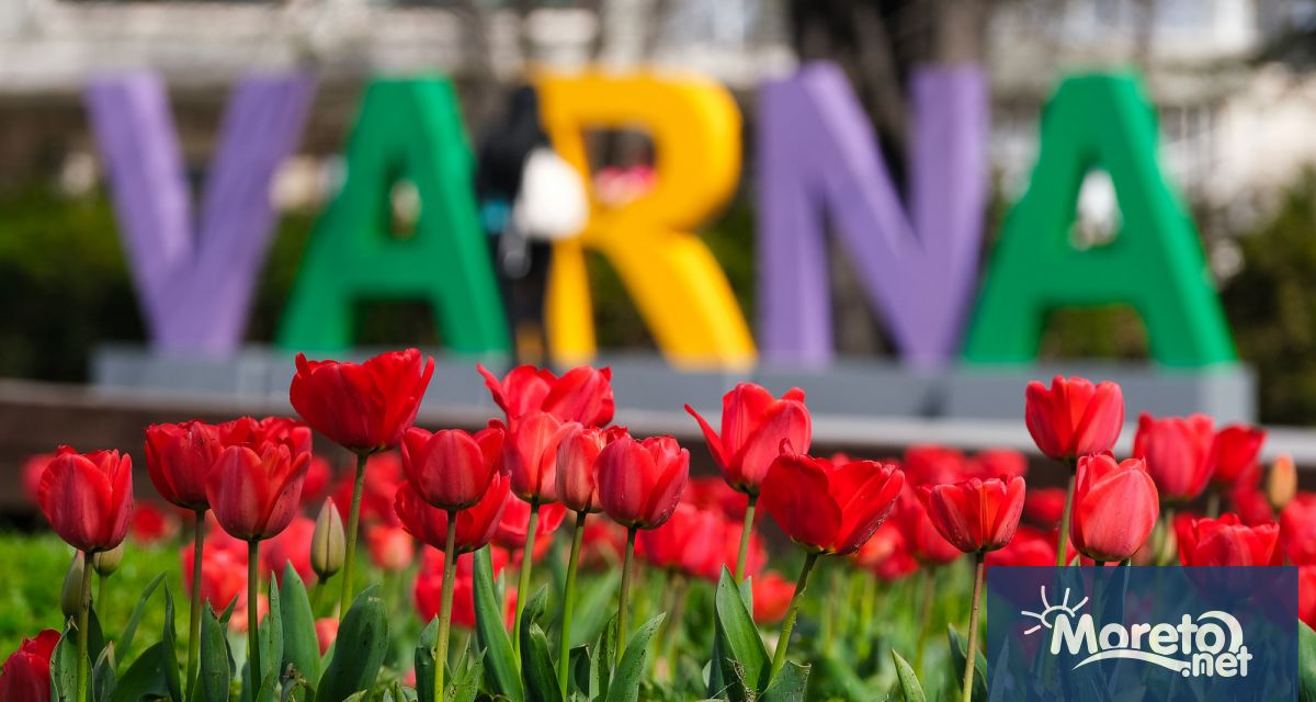 Община Варна обявява конкурс за Проект за концепция за графична