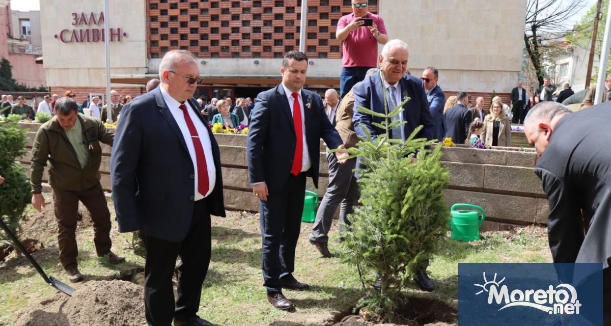 Бъдещите гори ще носят белега на стопанското ни поведение спрямо