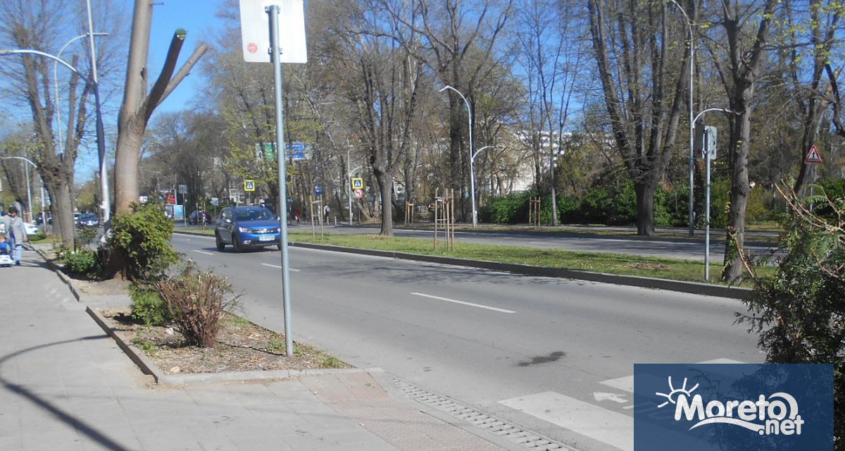 Община Варна и район Одесос разпоредиха премахването на растителност на