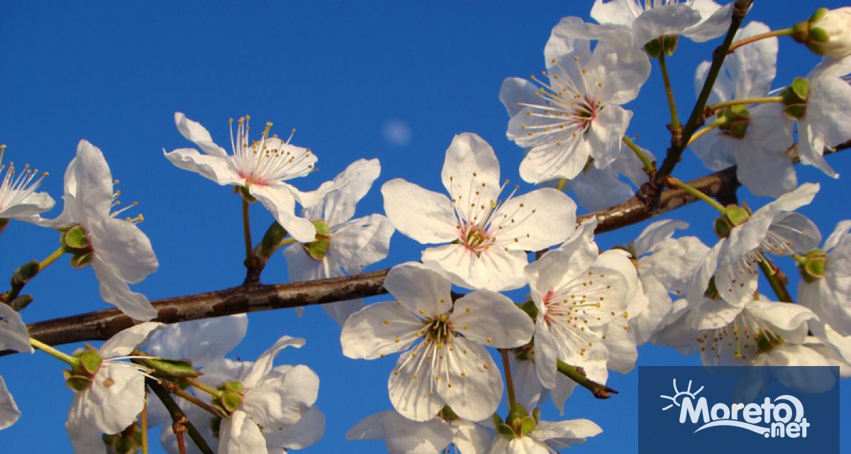 Има осигурен бюджет за компенсиране на пропаднали площи вследствие на