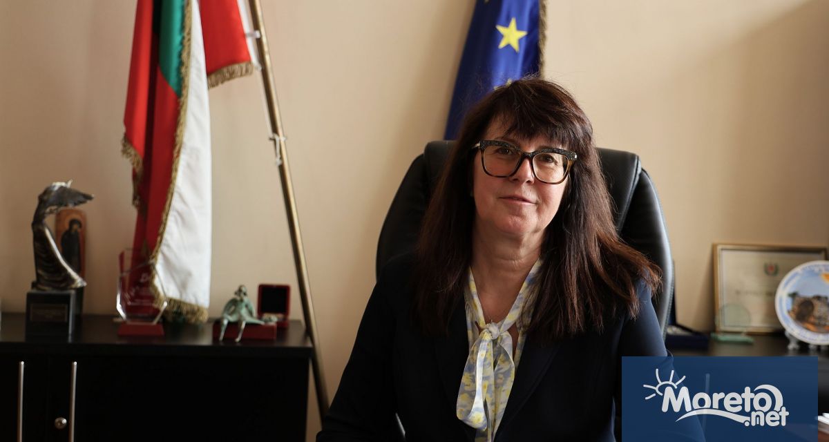 Структурата на бъдещата детска болница ще бъде приета след широк