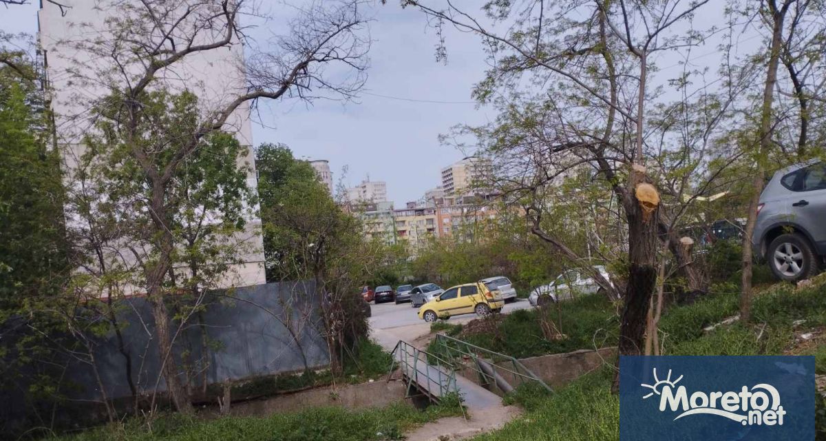 Малък пояс от дървета от двете страни на канала зад