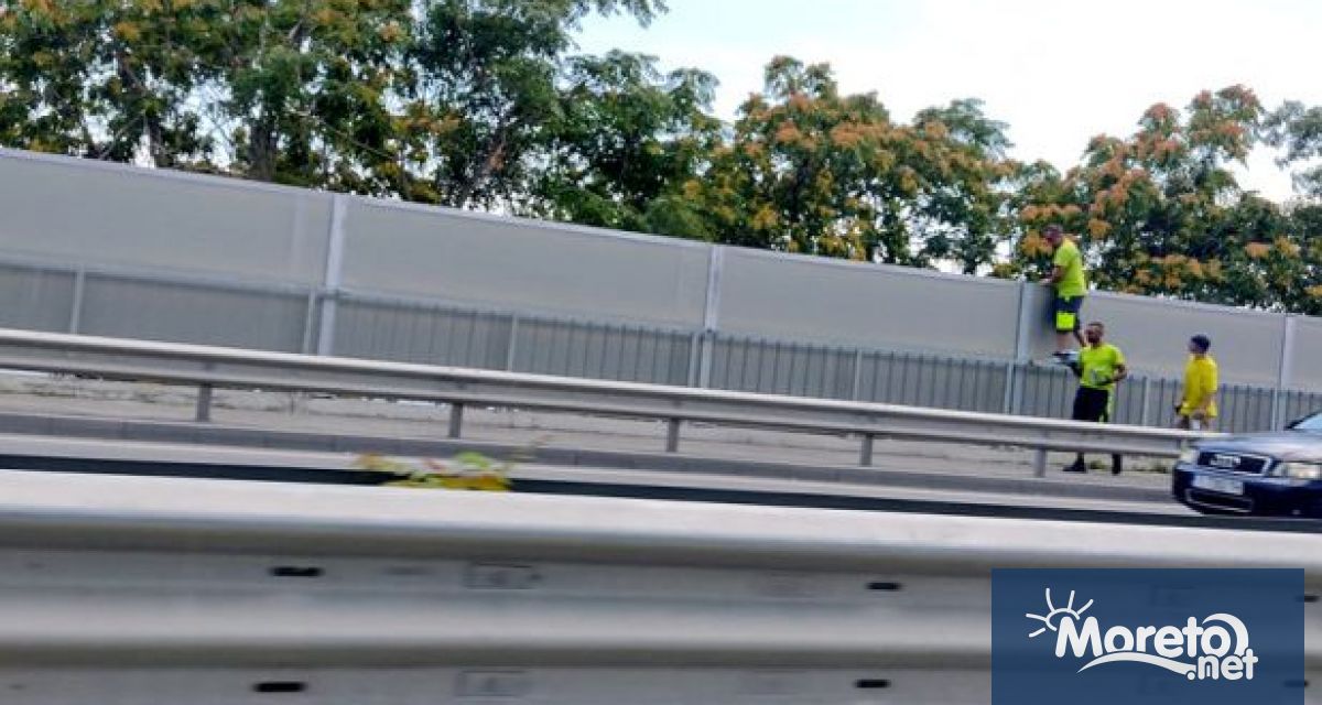 Община Варна е издала предписания за премахване на паната край