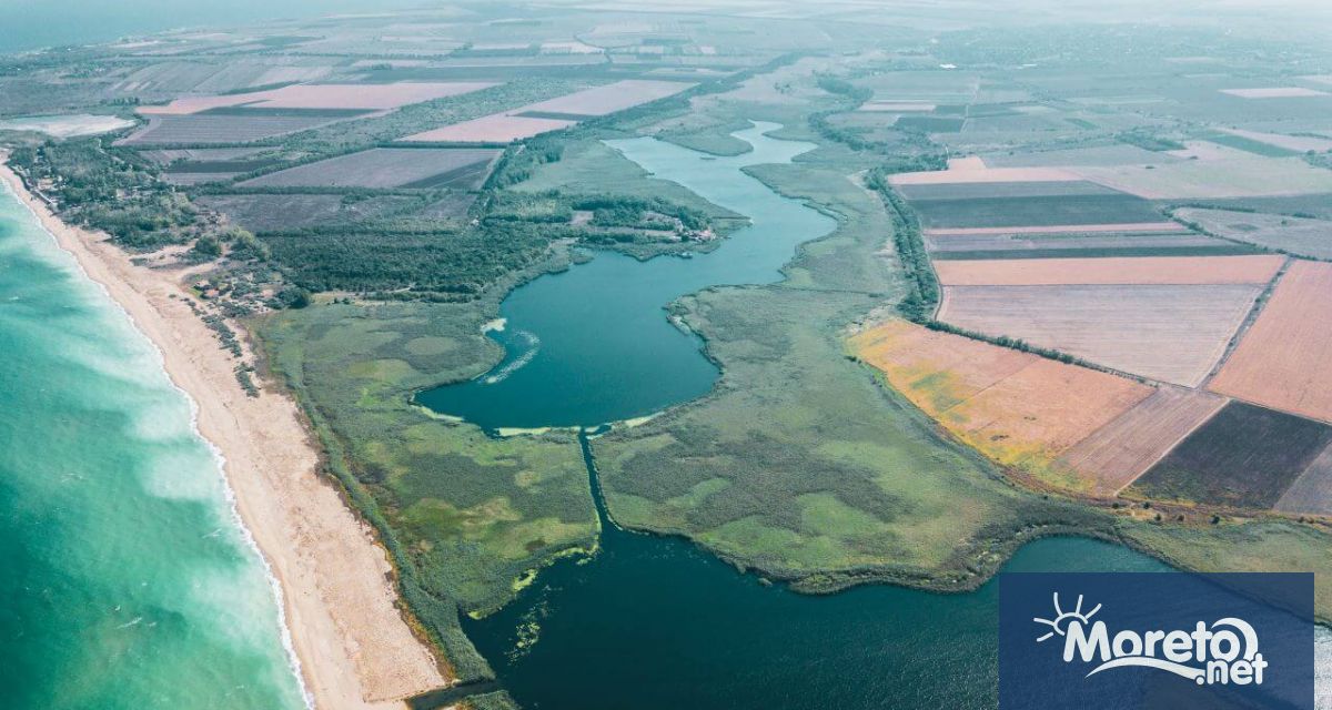 Започват снимки на пет късометражни филма за живота около влажните