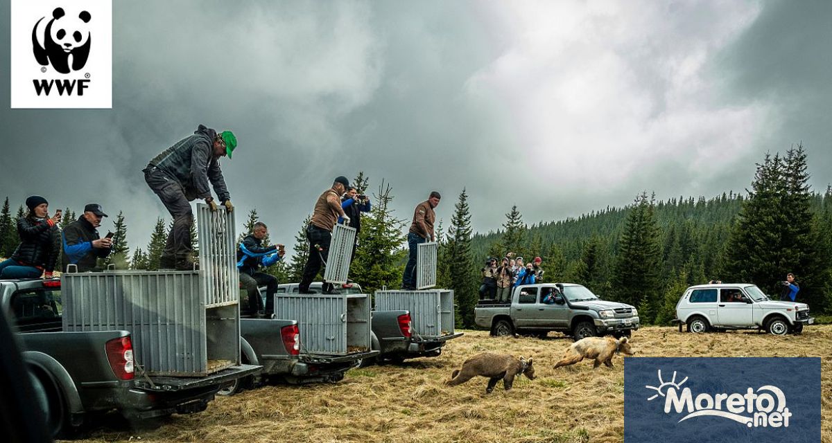 Партньорските усилия на Министерството на околната среда и водите МОСВ