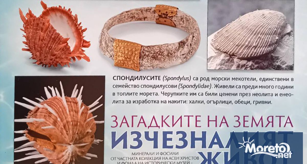 Историческият музей в Провадия открива изложба Загадките на Земята –