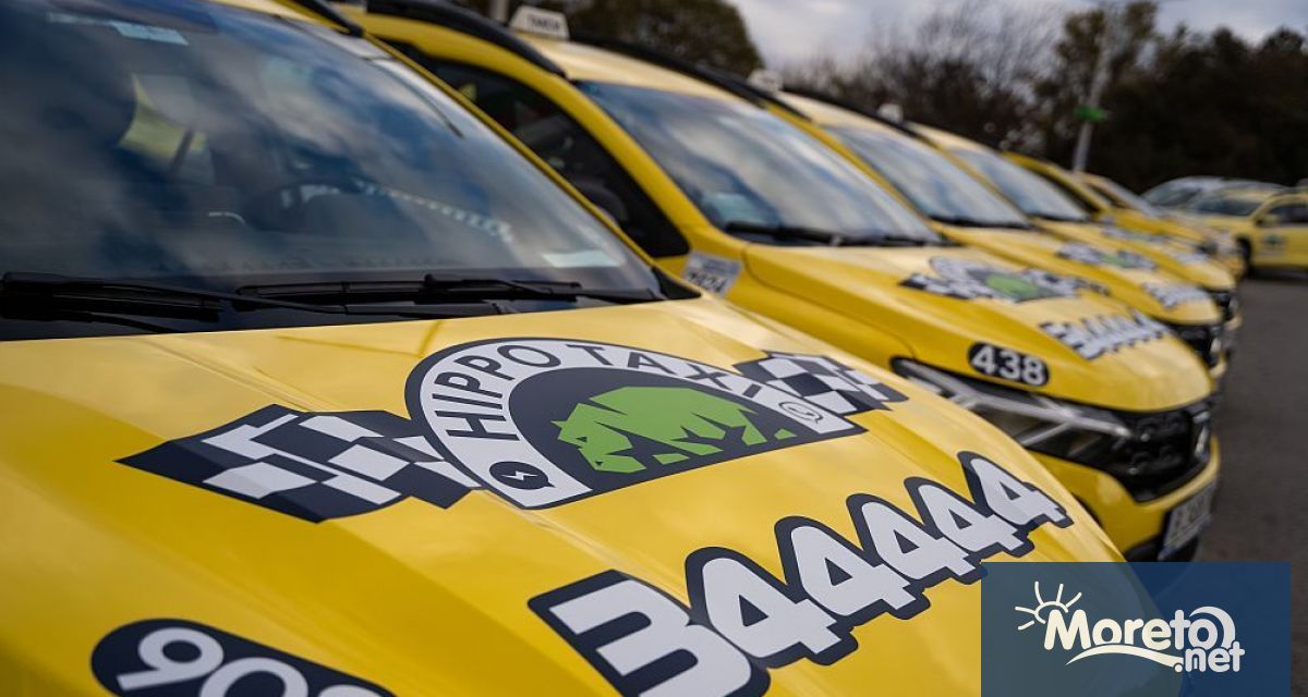 Макар и млада, Hippo Taxi вероятно е най-разпознаваемата таксиметрова компания