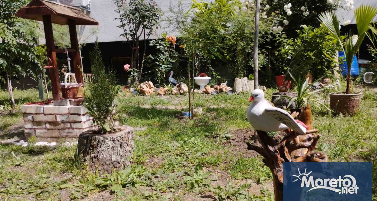 Околоблоковите градинки на все повече места в града са истинска